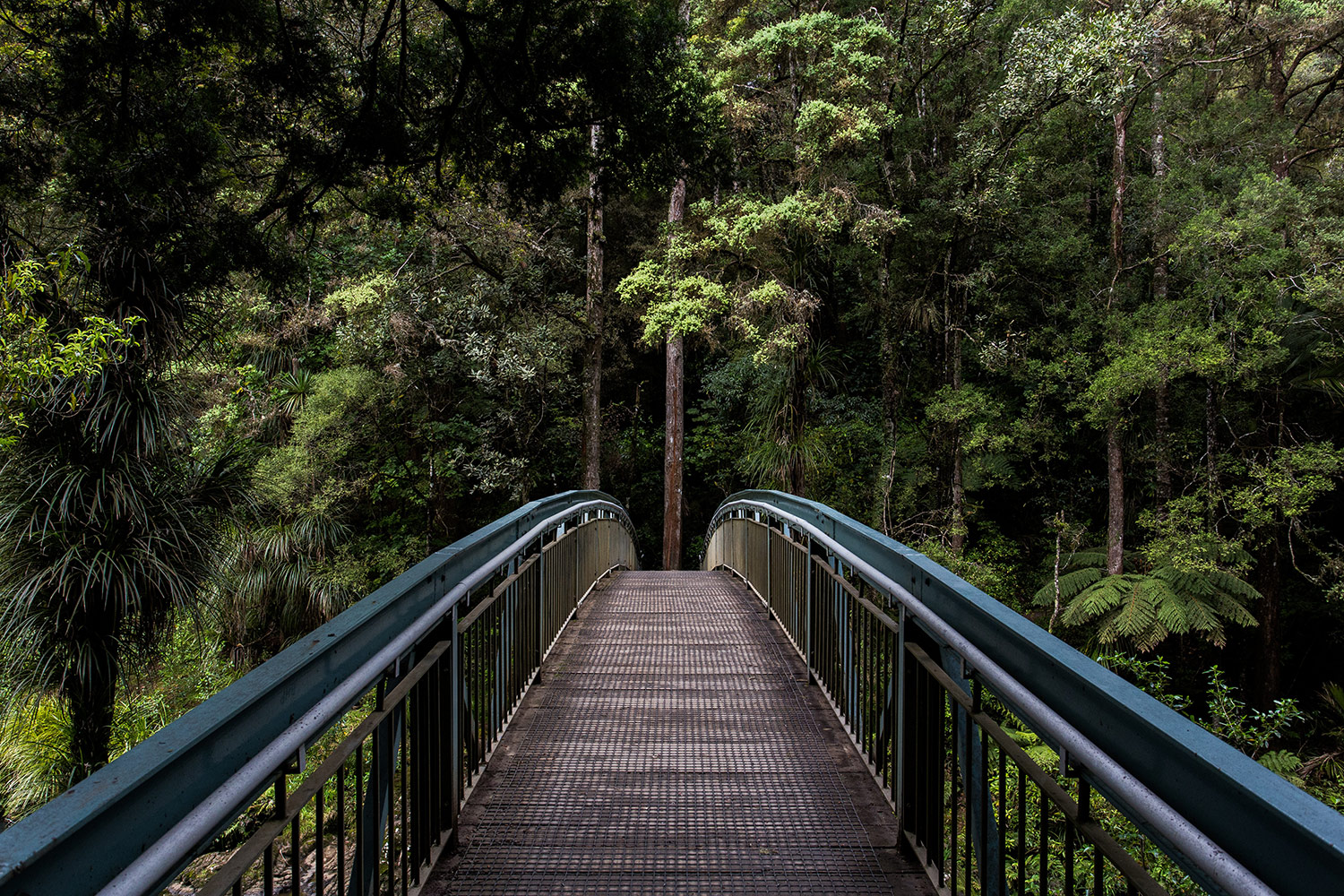 December 2015 Financial Update - Let the Adventure Begin!