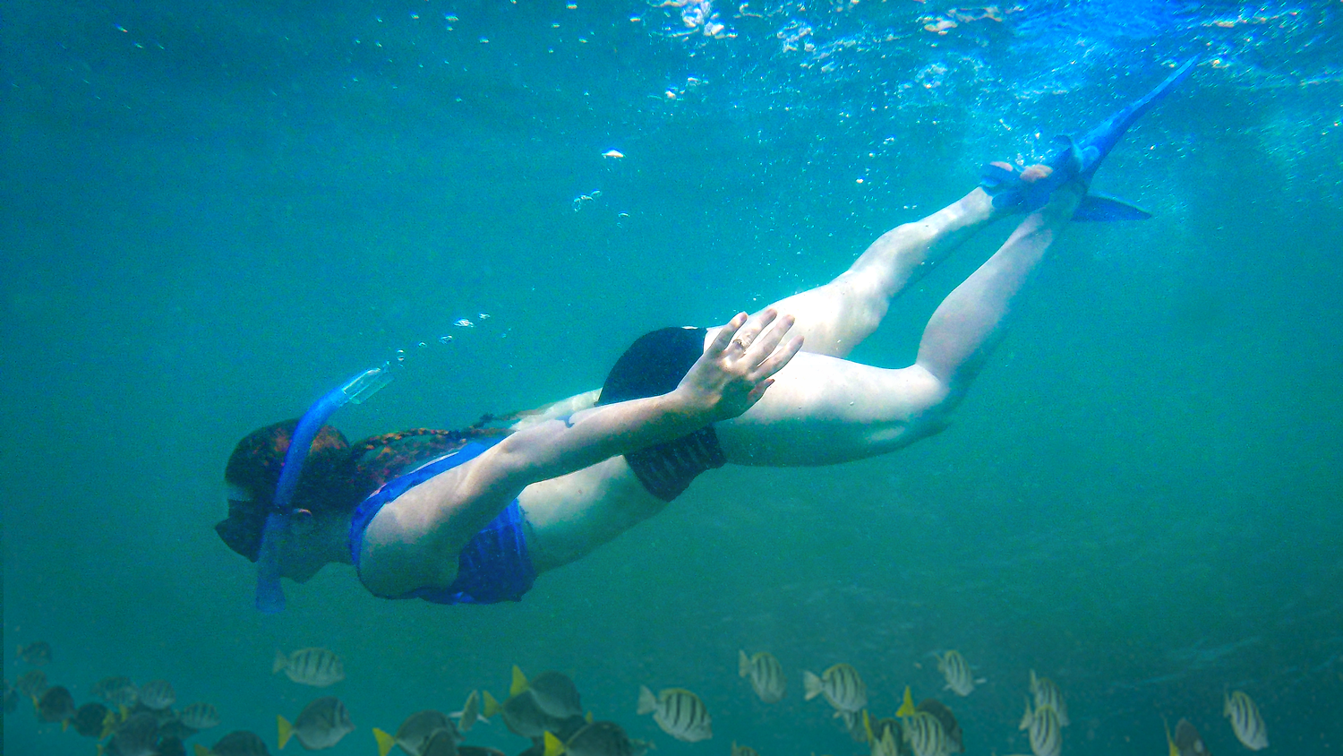 Snorkeling Adventure in Costa Rica! - Travel Vlog